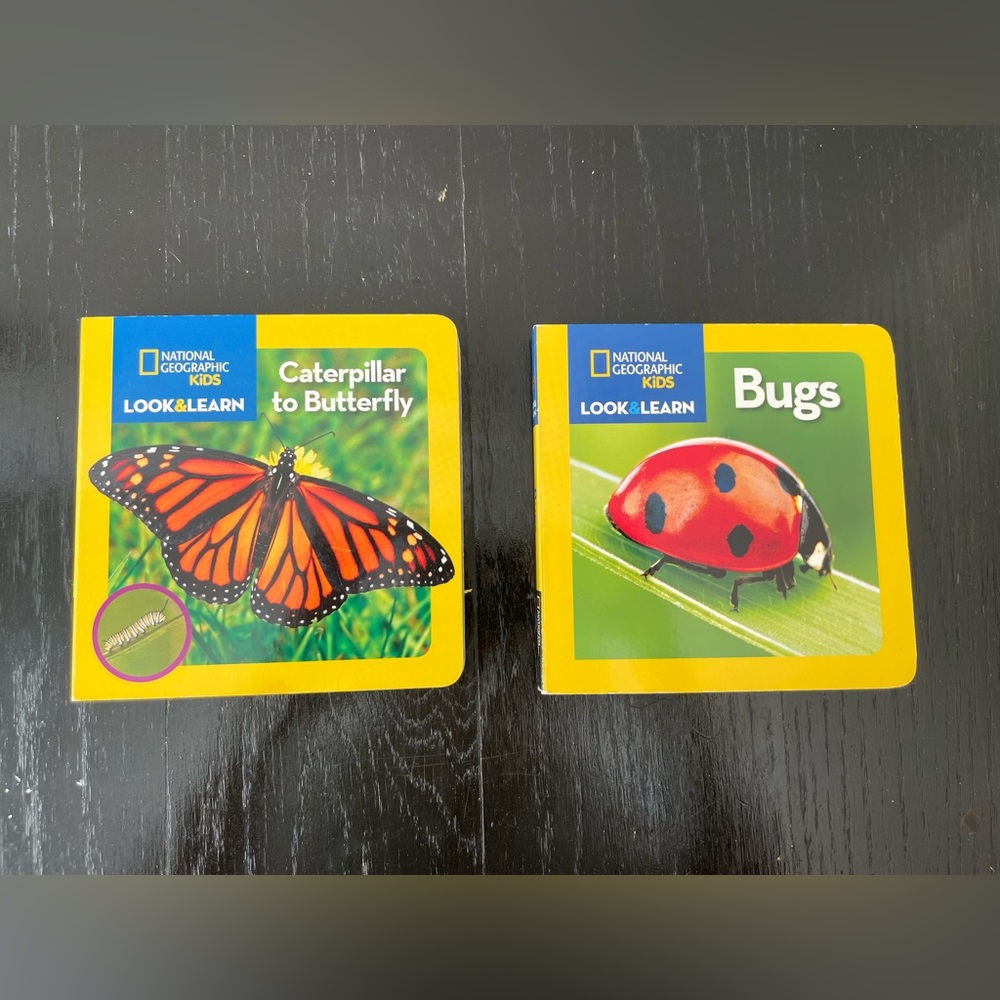 National Geographic Kids Look & Learn Books - Caterpillar to Butterfly and Bugs